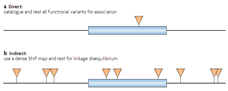 Source: direct & indirect association from Kruglyak (2008), Nat. Rev. Genet