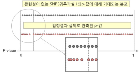 관련성이 있는 SNP가 있다면 그때의 p-값은 이론값보다 작아짐